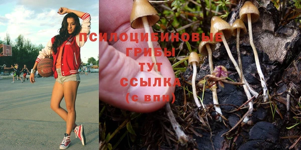 прущая мука Арсеньев