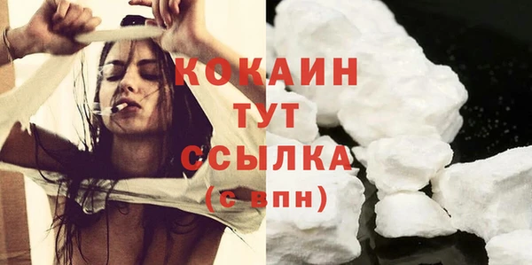 прущая мука Арсеньев
